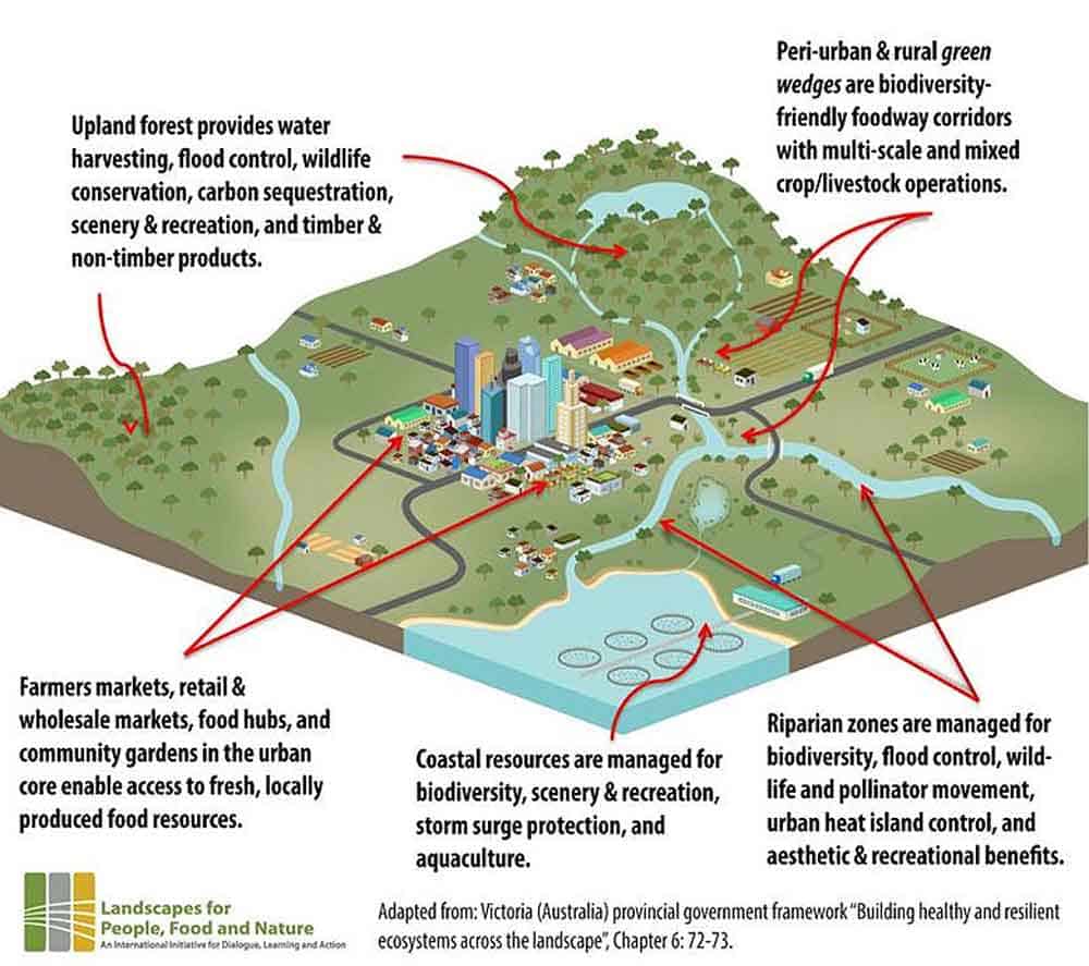 The concept of city region food system