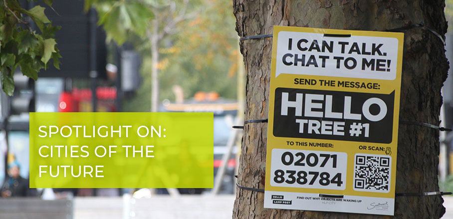 Tree with sign pinned to it, inviting people to interact with the tree via messenger