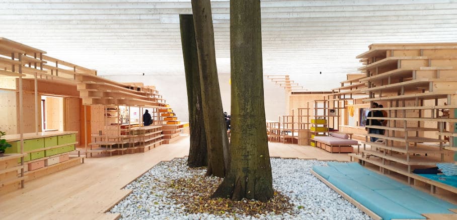 Different wooden structures and three trees in the middle of a large space. This is a model for a co-housing project.