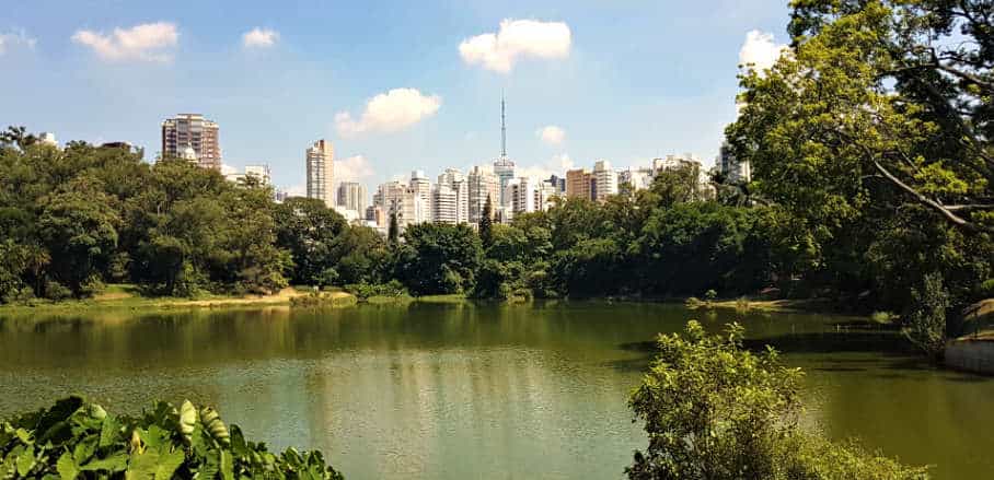A lake and park with a city skyline in the background