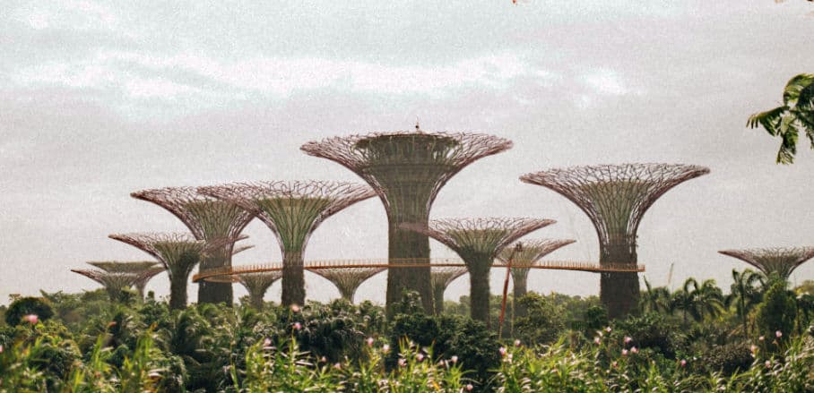 View of the beautiful towers, the co-called "Gardens by the Bay", in Singapore