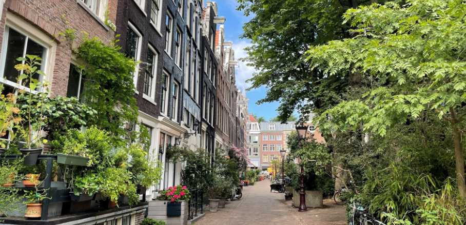 A view of a street in Amsterdam.