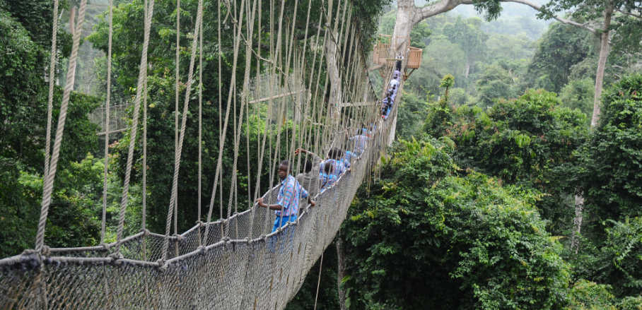 People walking along a hanging bridge in a djungle