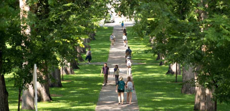 People walking in a park