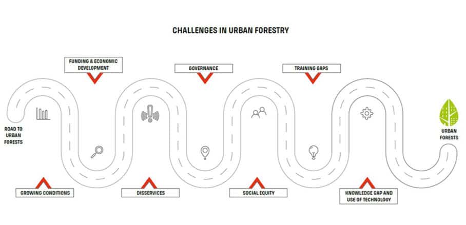 Graphic of challenges in urban forestry to which the case studies offer solutions