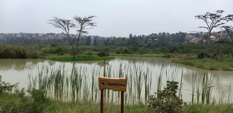 Depicted is a pond with a wooden sign that says Pond Kivu and wetlands around it.
