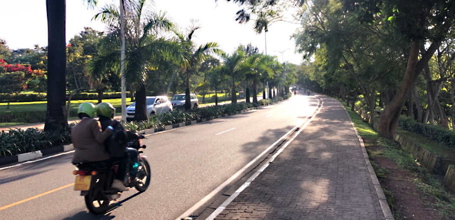 A sunny street with a motorcycle surrounded by trees.