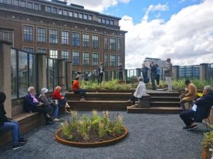 People sitting on a planted, green rooftop