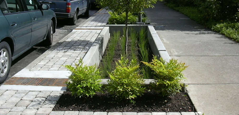 Sidewalk with planting space