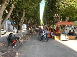 An alley for pedestrians and bicycles